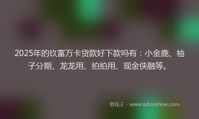 2025年的玖富万卡贷款好下款吗有：小金鹿、柚子分期、龙龙用、拍拍用、现金侠融等。