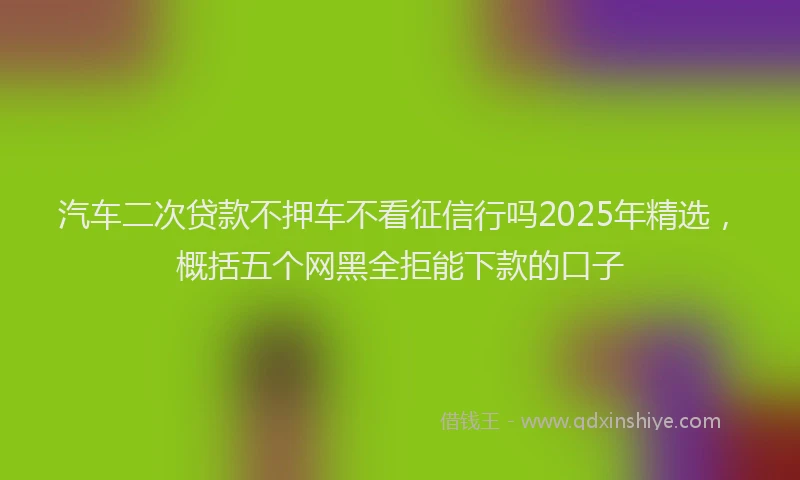 汽车二次贷款不押车不看征信行吗2025年精选，概括五个网黑全拒能下款的口子