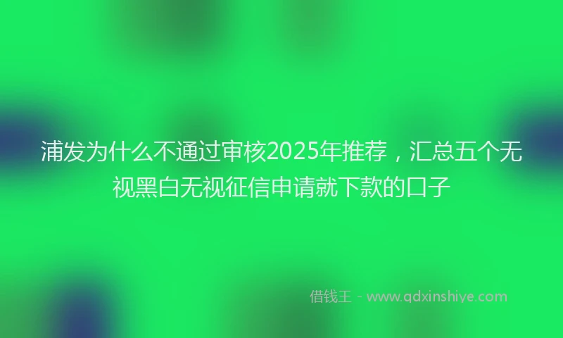 浦发为什么不通过审核2025年推荐，汇总五个无视黑白无视征信申请就下款的口子