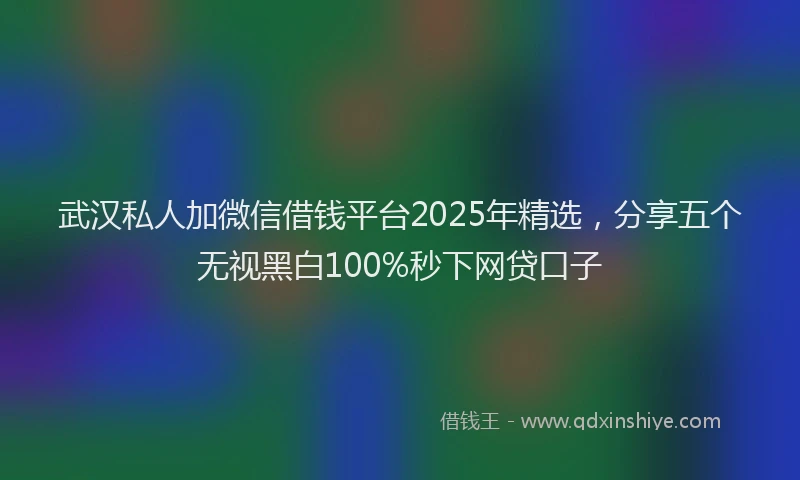 武汉私人加微信借钱平台2025年精选，分享五个无视黑白100%秒下网贷口子