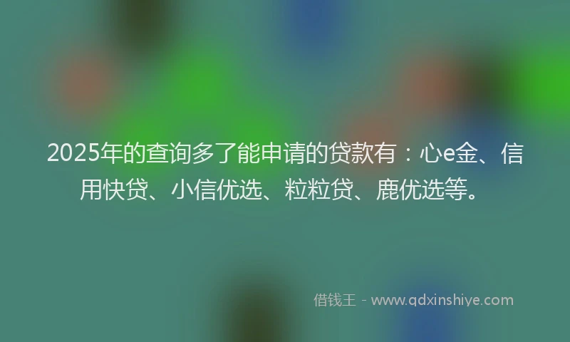 2025年的查询多了能申请的贷款有：心e金、信用快贷、小信优选、粒粒贷、鹿优选等。