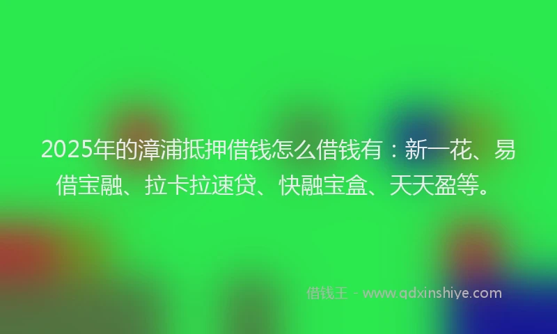 2025年的漳浦抵押借钱怎么借钱有：新一花、易借宝融、拉卡拉速贷、快融宝盒、天天盈等。