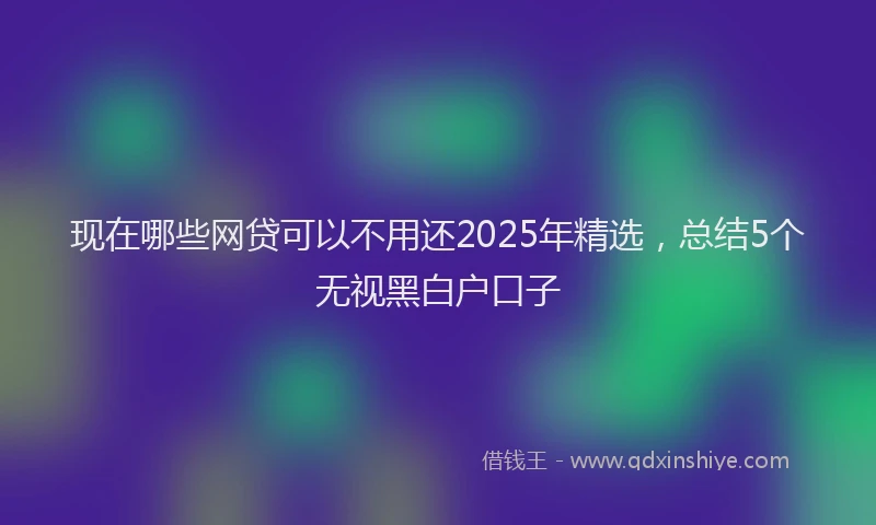 现在哪些网贷可以不用还2025年精选，总结5个无视黑白户口子