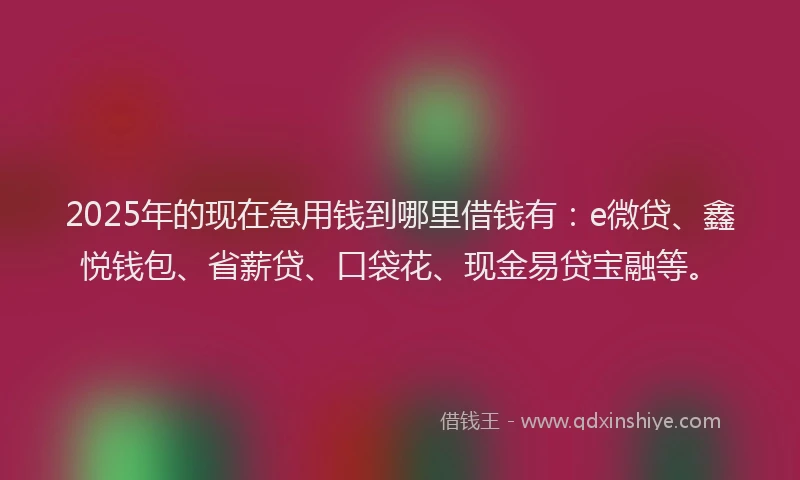 2025年的现在急用钱到哪里借钱有：e微贷、鑫悦钱包、省薪贷、口袋花、现金易贷宝融等。