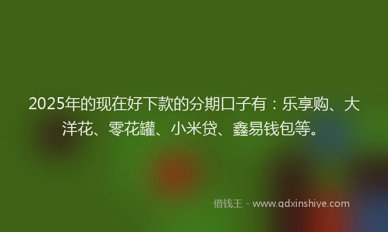 2025年的现在好下款的分期口子有：乐享购、大洋花、零花罐、小米贷、鑫易钱包等。