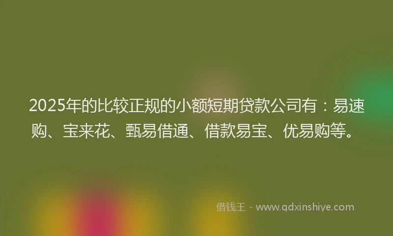 2025年的比较正规的小额短期贷款公司有：易速购、宝来花、甄易借通、借款易宝、优易购等。