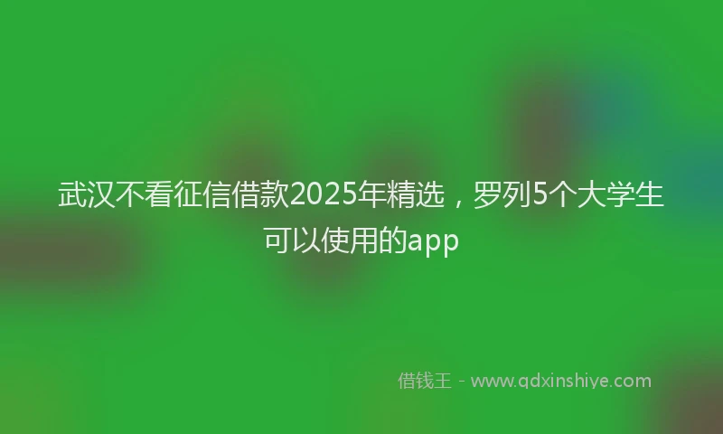 武汉不看征信借款2025年精选，罗列5个大学生可以使用的app