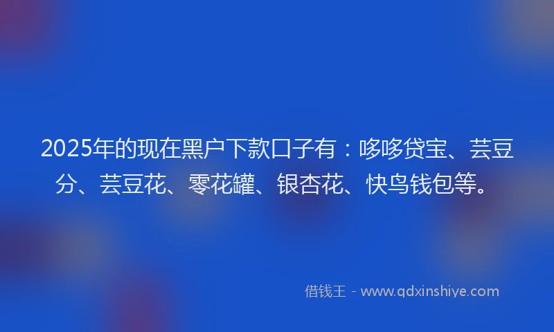 2025年的现在黑户下款口子有：哆哆贷宝、芸豆分、芸豆花、零花罐、银杏花、快鸟钱包等。