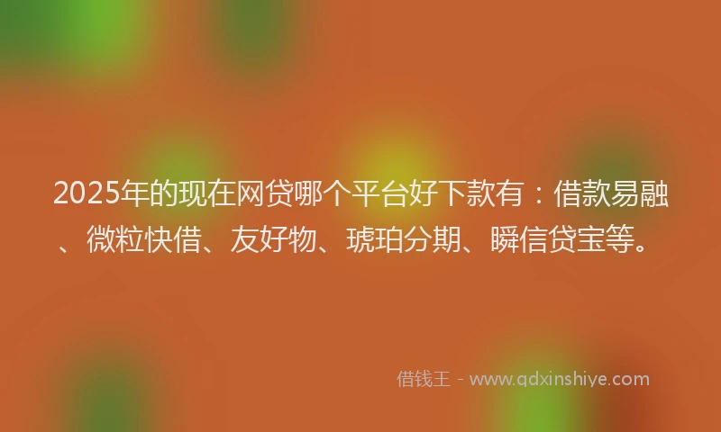 2025年的现在网贷哪个平台好下款有：借款易融、微粒快借、友好物、琥珀分期、瞬信贷宝等。