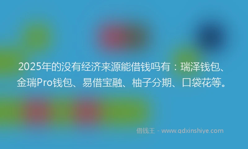 2025年的没有经济来源能借钱吗有：瑞泽钱包、金瑞Pro钱包、易借宝融、柚子分期、口袋花等。