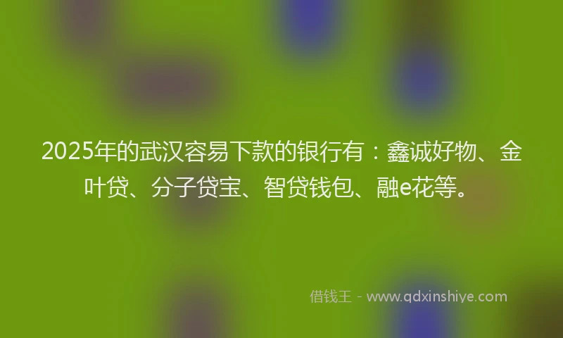 2025年的武汉容易下款的银行有：鑫诚好物、金叶贷、分子贷宝、智贷钱包、融e花等。