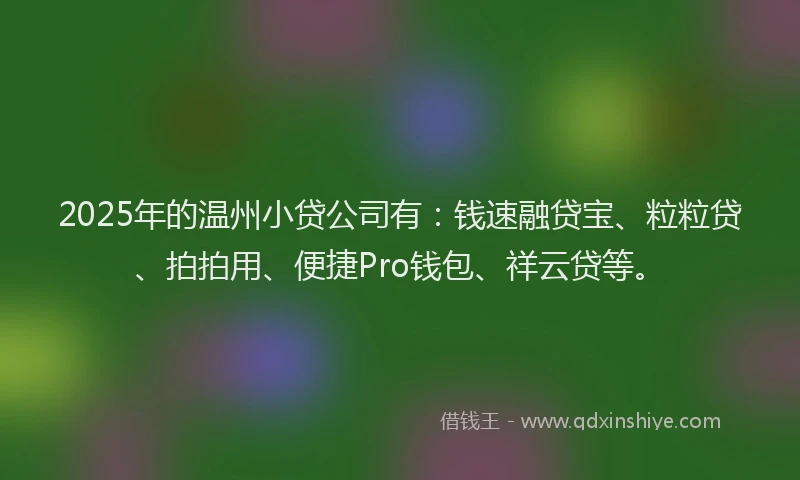 2025年的温州小贷公司有：钱速融贷宝、粒粒贷、拍拍用、便捷Pro钱包、祥云贷等。