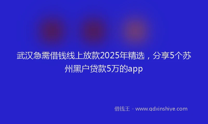 武汉急需借钱线上放款2025年精选，分享5个苏州黑户贷款5万的app