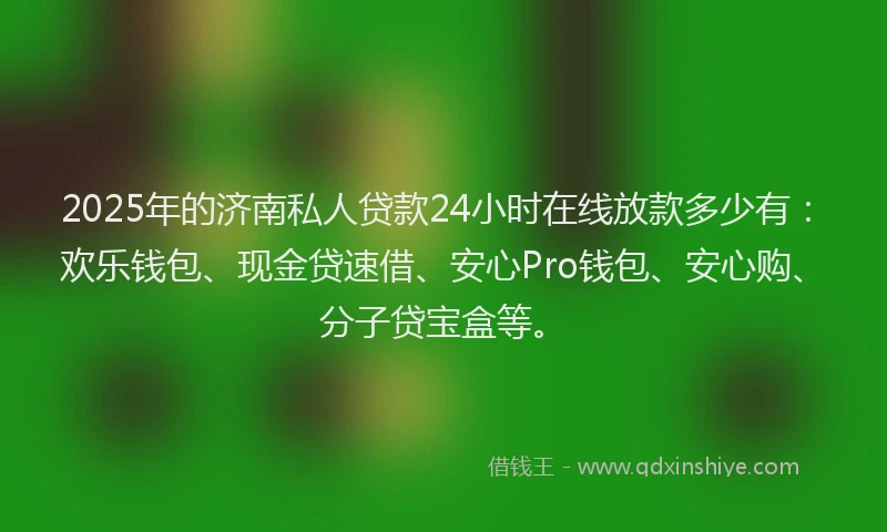 2025年的济南私人贷款24小时在线放款多少有：欢乐钱包、现金贷速借、安心Pro钱包、安心购、分子贷宝盒等。