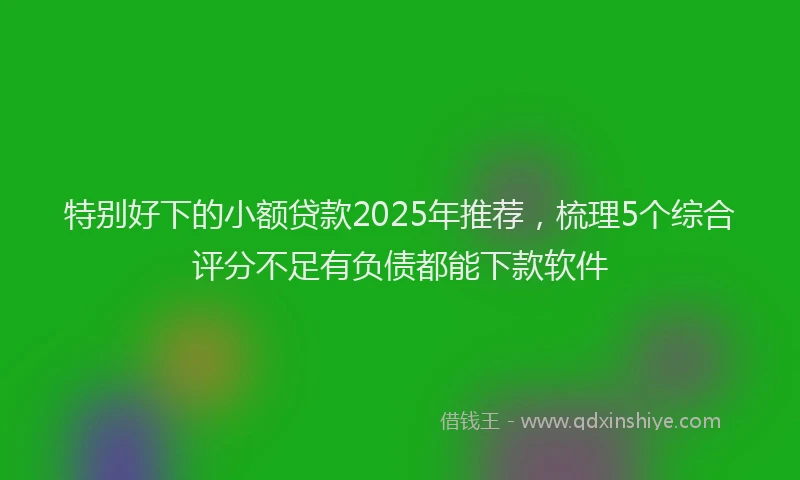 特别好下的小额贷款2025年推荐，梳理5个综合评分不足有负债都能下款软件