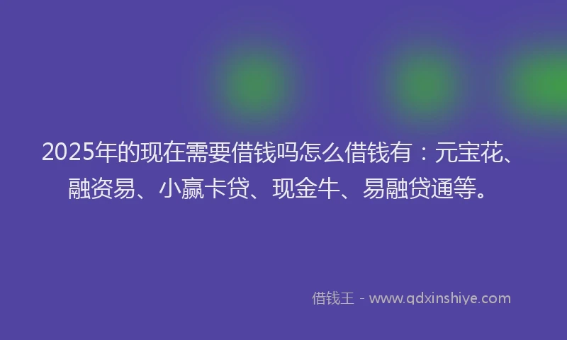 2025年的现在需要借钱吗怎么借钱有：元宝花、融资易、小赢卡贷、现金牛、易融贷通等。