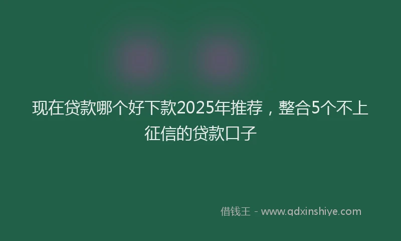 现在贷款哪个好下款2025年推荐，整合5个不上征信的贷款口子