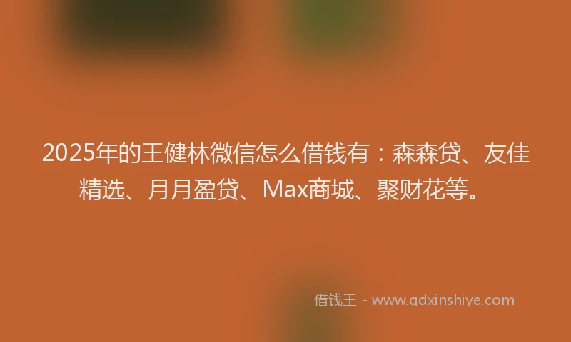 2025年的王健林微信怎么借钱有：森森贷、友佳精选、月月盈贷、Max商城、聚财花等。