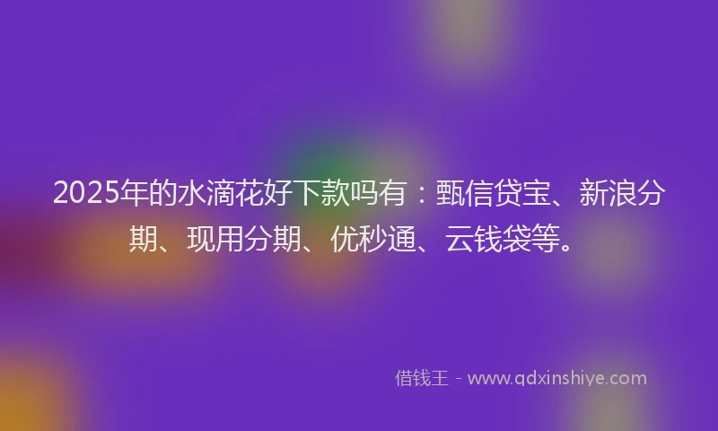 2025年的水滴花好下款吗有：甄信贷宝、新浪分期、现用分期、优秒通、云钱袋等。