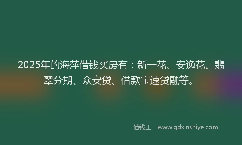 2025年的海萍借钱买房有：新一花、安逸花、翡翠分期、众安贷、借款宝速贷融等。