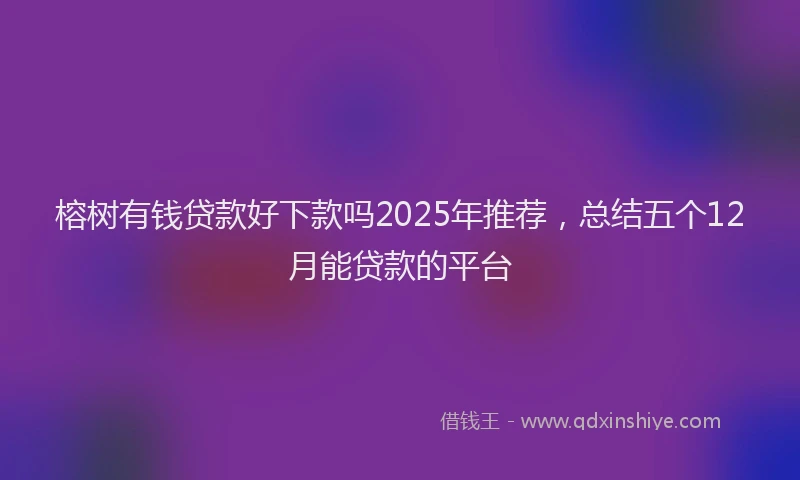 榕树有钱贷款好下款吗2025年推荐，总结五个12月能贷款的平台