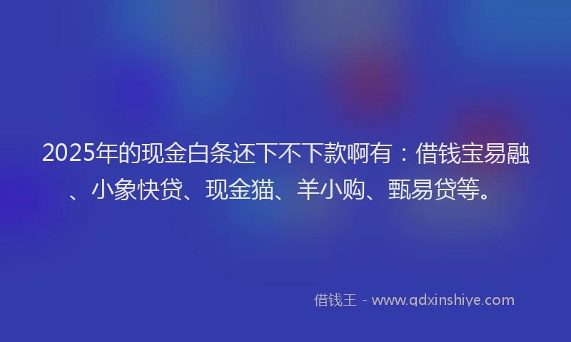 2025年的现金白条还下不下款啊有：借钱宝易融、小象快贷、现金猫、羊小购、甄易贷等。