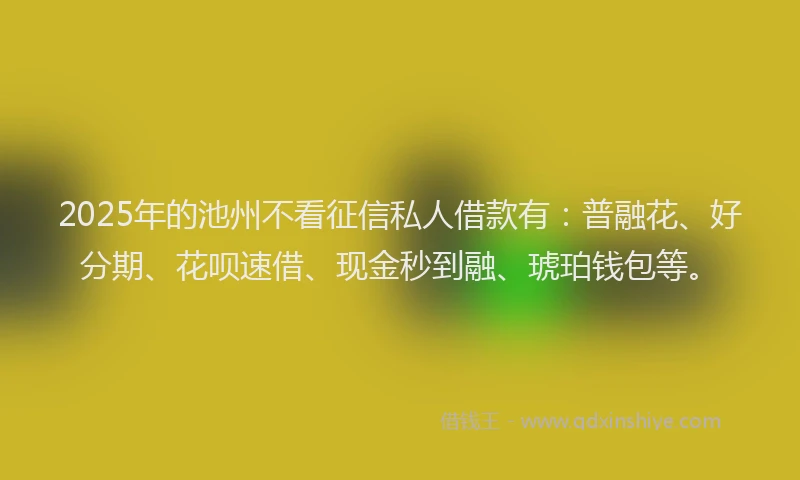 2025年的池州不看征信私人借款有：普融花、好分期、花呗速借、现金秒到融、琥珀钱包等。