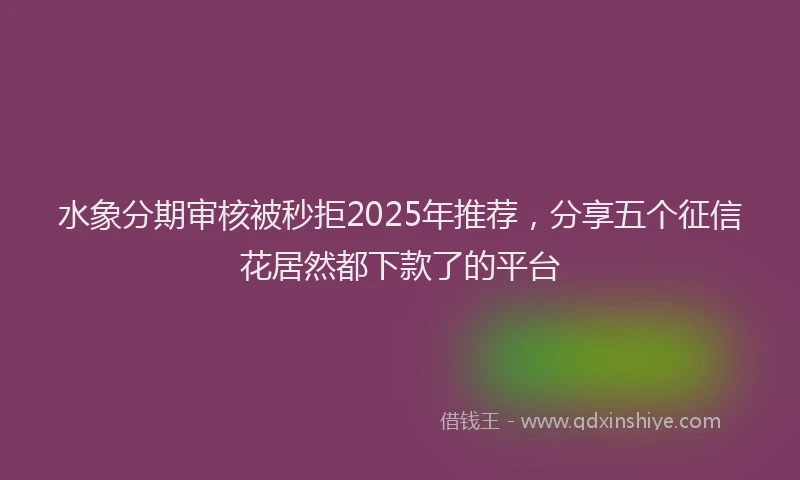 水象分期审核被秒拒2025年推荐，分享五个征信花居然都下款了的平台