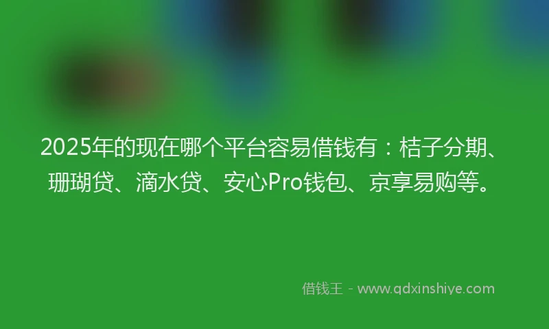 2025年的现在哪个平台容易借钱有：桔子分期、珊瑚贷、滴水贷、安心Pro钱包、京享易购等。