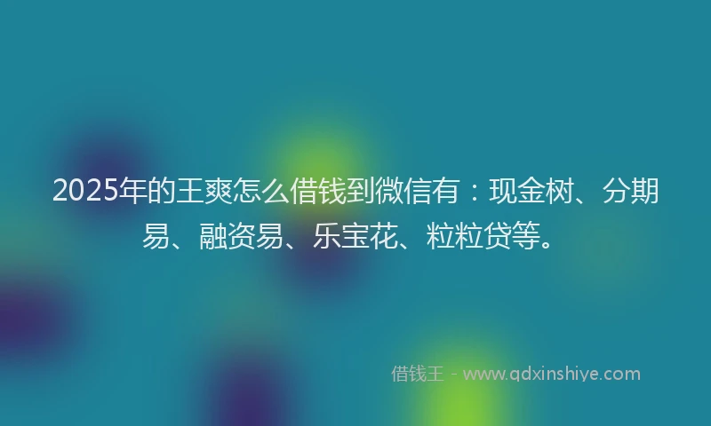 2025年的王爽怎么借钱到微信有：现金树、分期易、融资易、乐宝花、粒粒贷等。