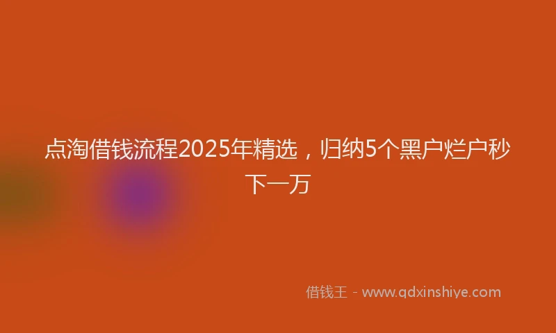 点淘借钱流程2025年精选，归纳5个黑户烂户秒下一万