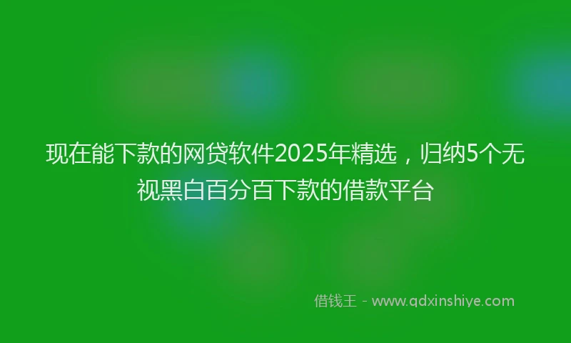 现在能下款的网贷软件2025年精选，归纳5个无视黑白百分百下款的借款平台