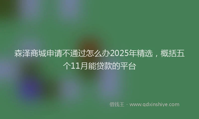 森泽商城申请不通过怎么办2025年精选，概括五个11月能贷款的平台