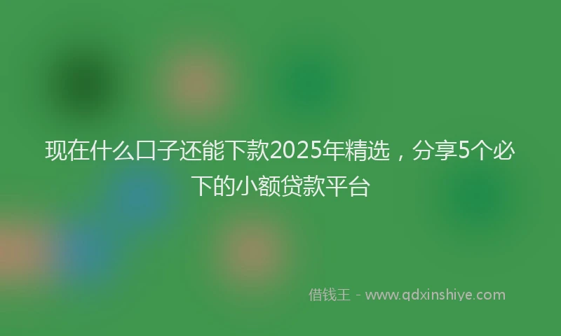 现在什么口子还能下款2025年精选，分享5个必下的小额贷款平台