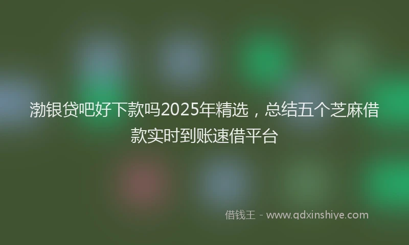 渤银贷吧好下款吗2025年精选，总结五个芝麻借款实时到账速借平台