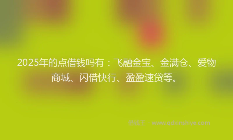 2025年的点借钱吗有：飞融金宝、金满仓、爱物商城、闪借快行、盈盈速贷等。