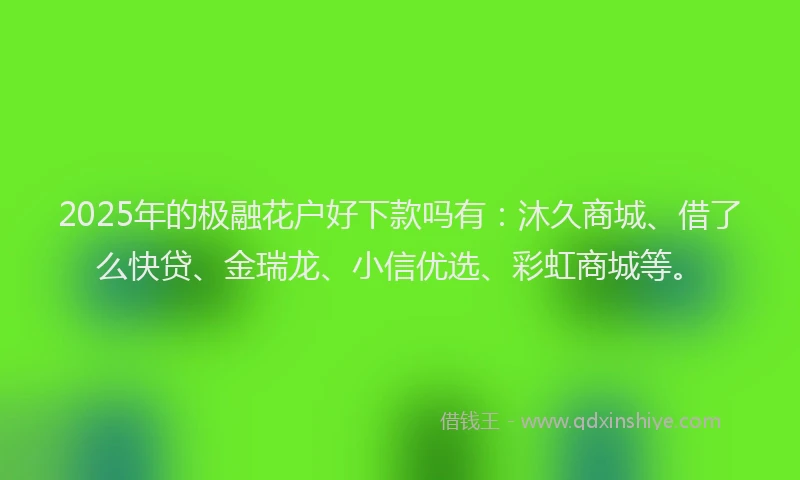 2025年的极融花户好下款吗有：沐久商城、借了么快贷、金瑞龙、小信优选、彩虹商城等。