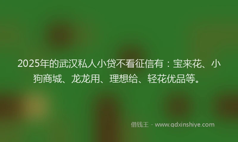 2025年的武汉私人小贷不看征信有：宝来花、小狗商城、龙龙用、理想给、轻花优品等。