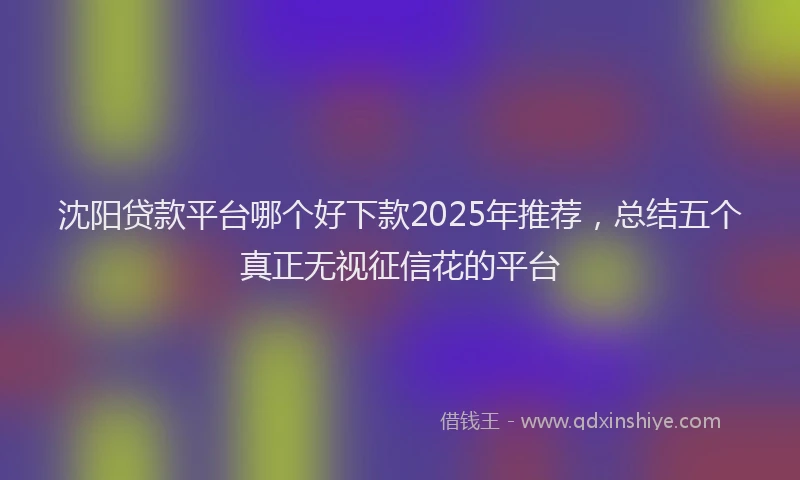 沈阳贷款平台哪个好下款2025年推荐，总结五个真正无视征信花的平台