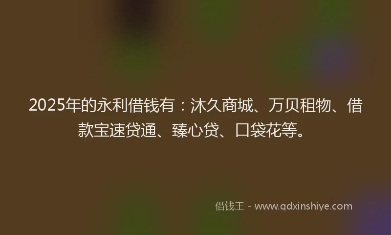 2025年的永利借钱有：沐久商城、万贝租物、借款宝速贷通、臻心贷、口袋花等。