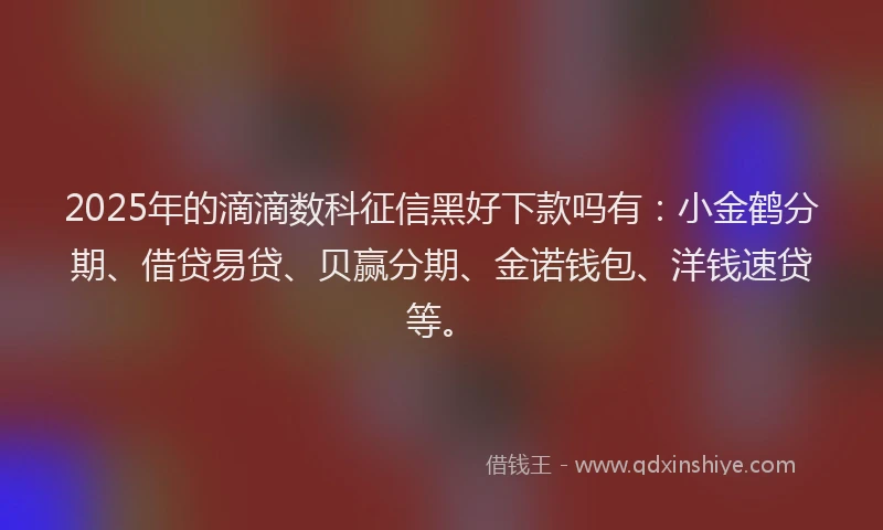 2025年的滴滴数科征信黑好下款吗有：小金鹤分期、借贷易贷、贝赢分期、金诺钱包、洋钱速贷等。