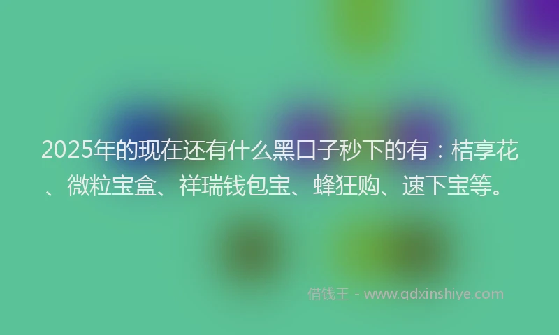 2025年的现在还有什么黑口子秒下的有：桔享花、微粒宝盒、祥瑞钱包宝、蜂狂购、速下宝等。