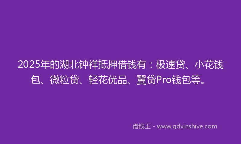 2025年的湖北钟祥抵押借钱有：极速贷、小花钱包、微粒贷、轻花优品、翼贷Pro钱包等。