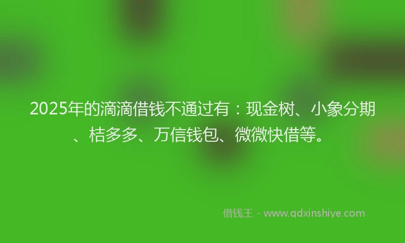 2025年的滴滴借钱不通过有：现金树、小象分期、桔多多、万信钱包、微微快借等。