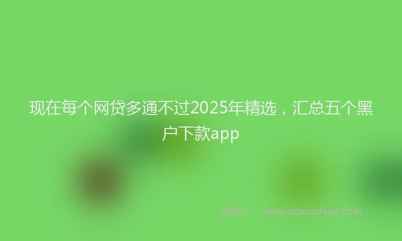 现在每个网贷多通不过2025年精选，汇总五个黑户下款app