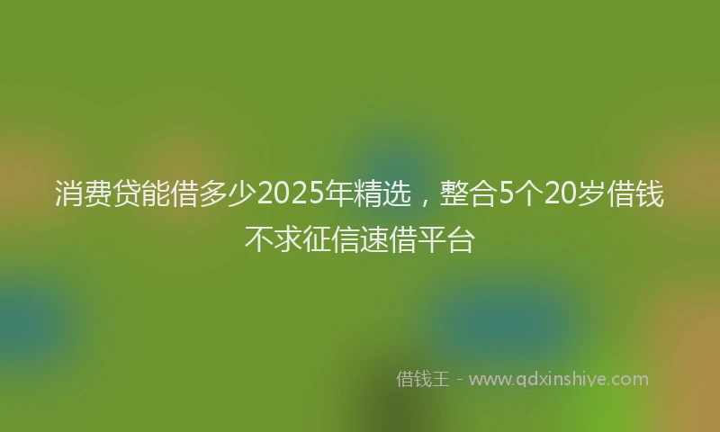 消费贷能借多少2025年精选，整合5个20岁借钱不求征信速借平台