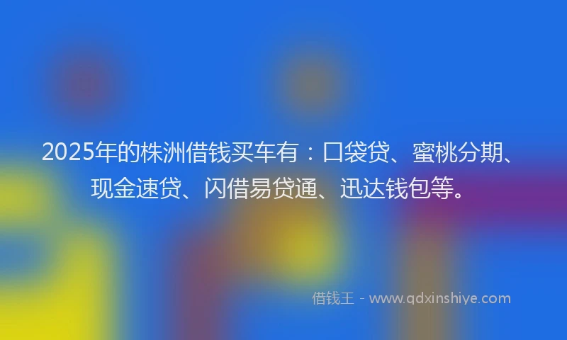 2025年的株洲借钱买车有：口袋贷、蜜桃分期、现金速贷、闪借易贷通、迅达钱包等。