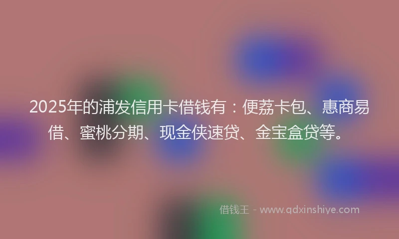 2025年的浦发信用卡借钱有：便荔卡包、惠商易借、蜜桃分期、现金侠速贷、金宝盒贷等。