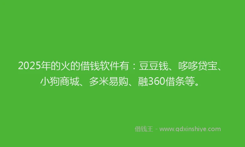 2025年的火的借钱软件有：豆豆钱、哆哆贷宝、小狗商城、多米易购、融360借条等。