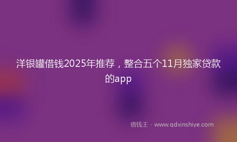 洋银罐借钱2025年推荐，整合五个11月独家贷款的app